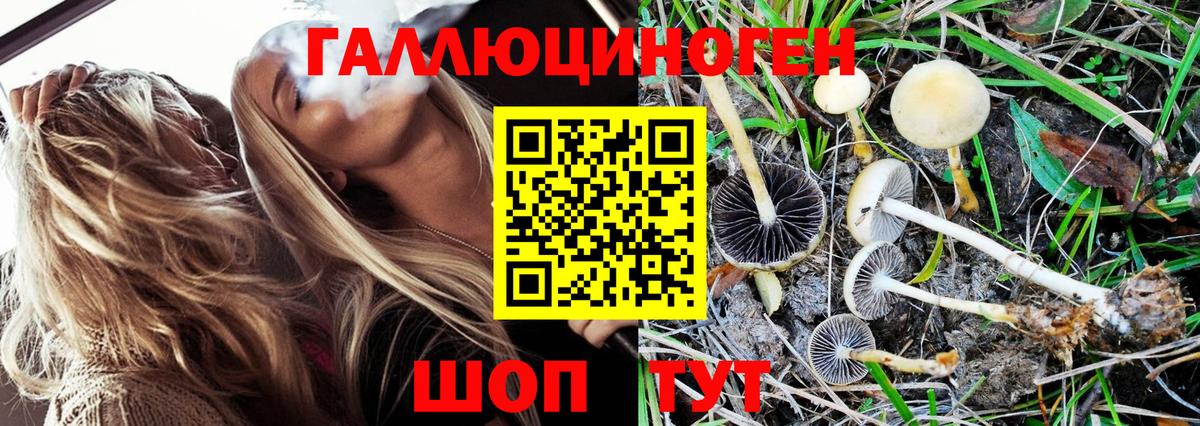 Миасс  Галлюциногенные грибы Magic Shrooms  Псилоцибиновые грибы GOLDEN TEACHER  Вход с VPN 
